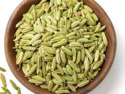 Fennel ( Saunf )