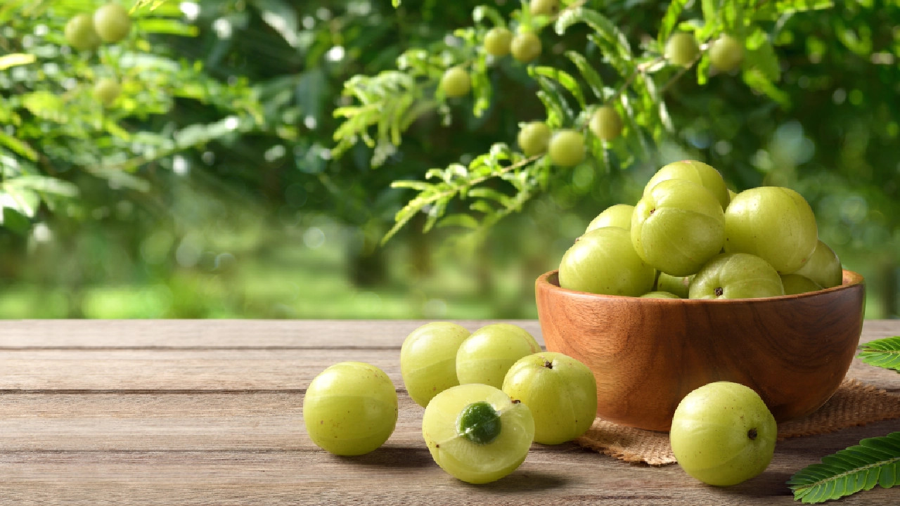 The Secret Behind Indian Gooseberry Being Known as the Elixir of Life